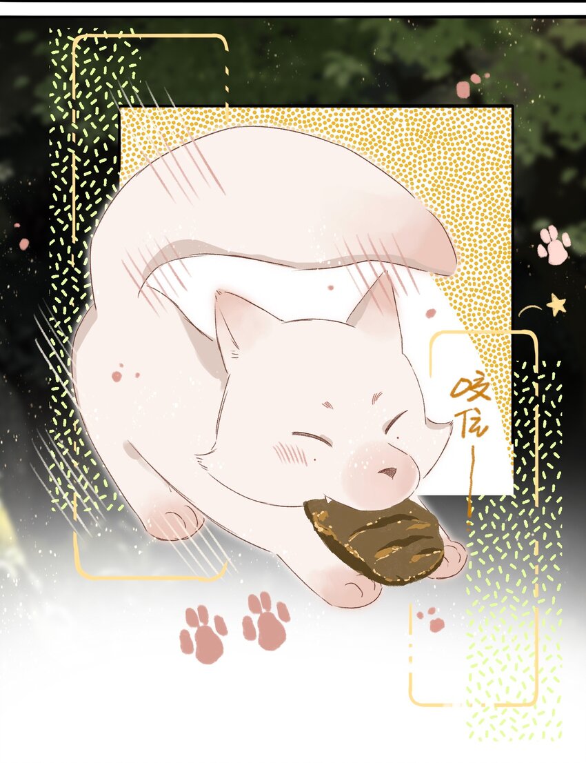 049 狐质12