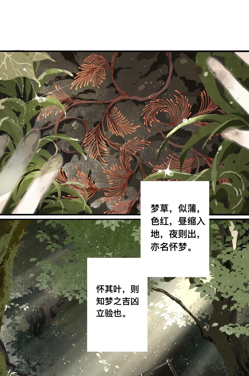 047怀梦草15
