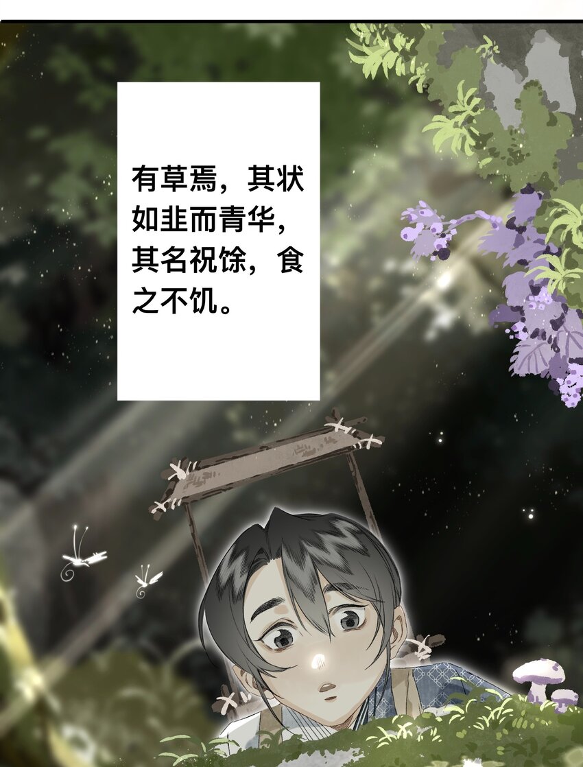 047怀梦草17