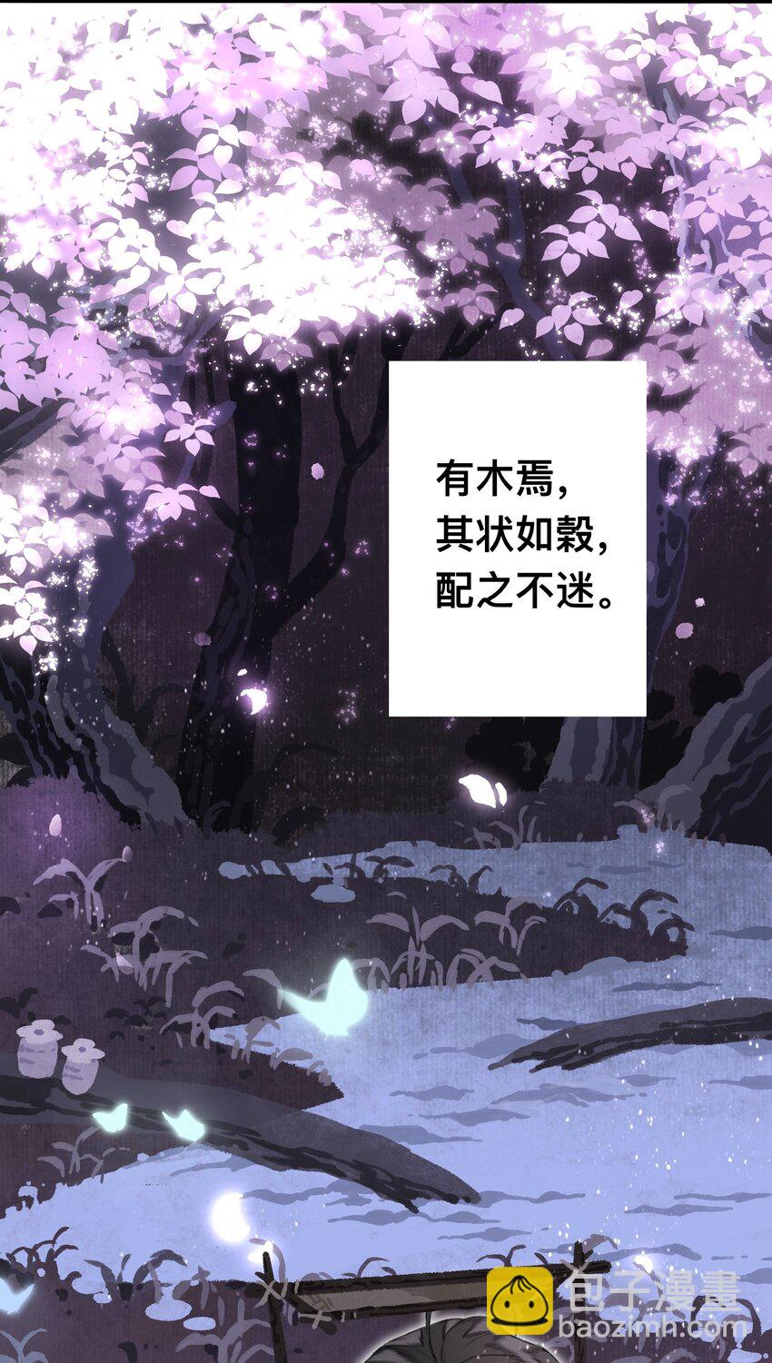 047怀梦草24