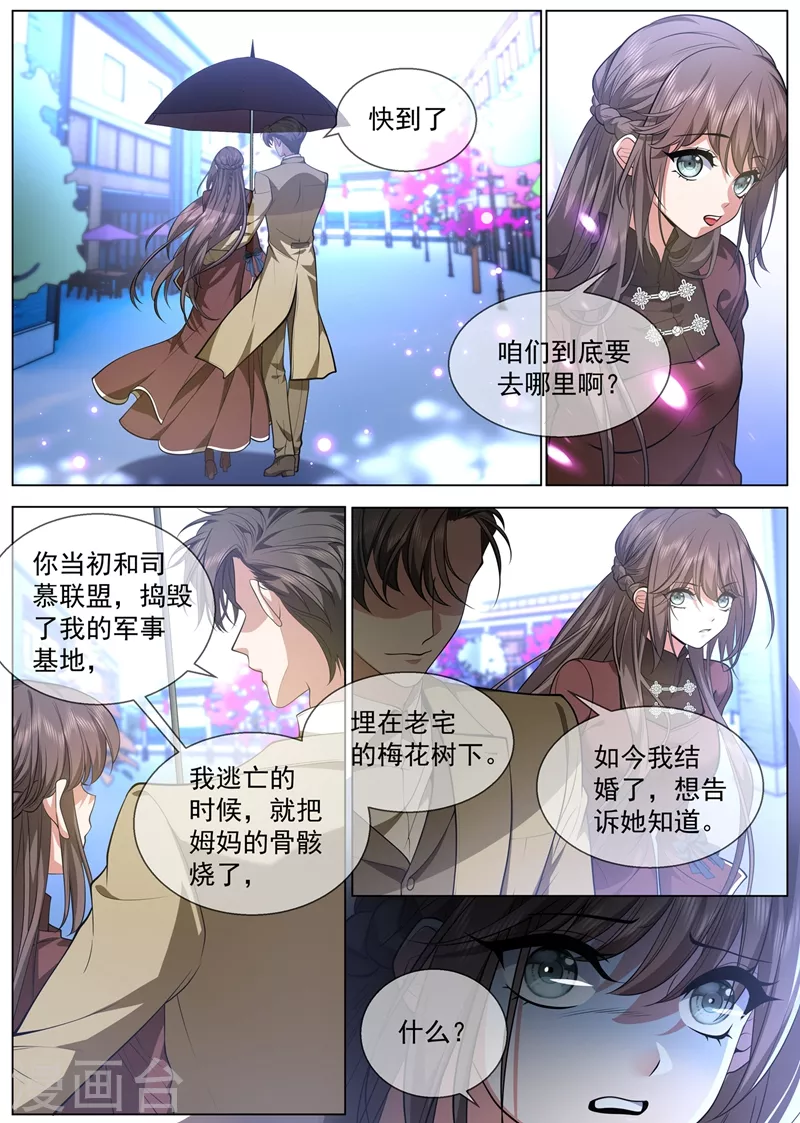 第439话 老宅的梅花树下3