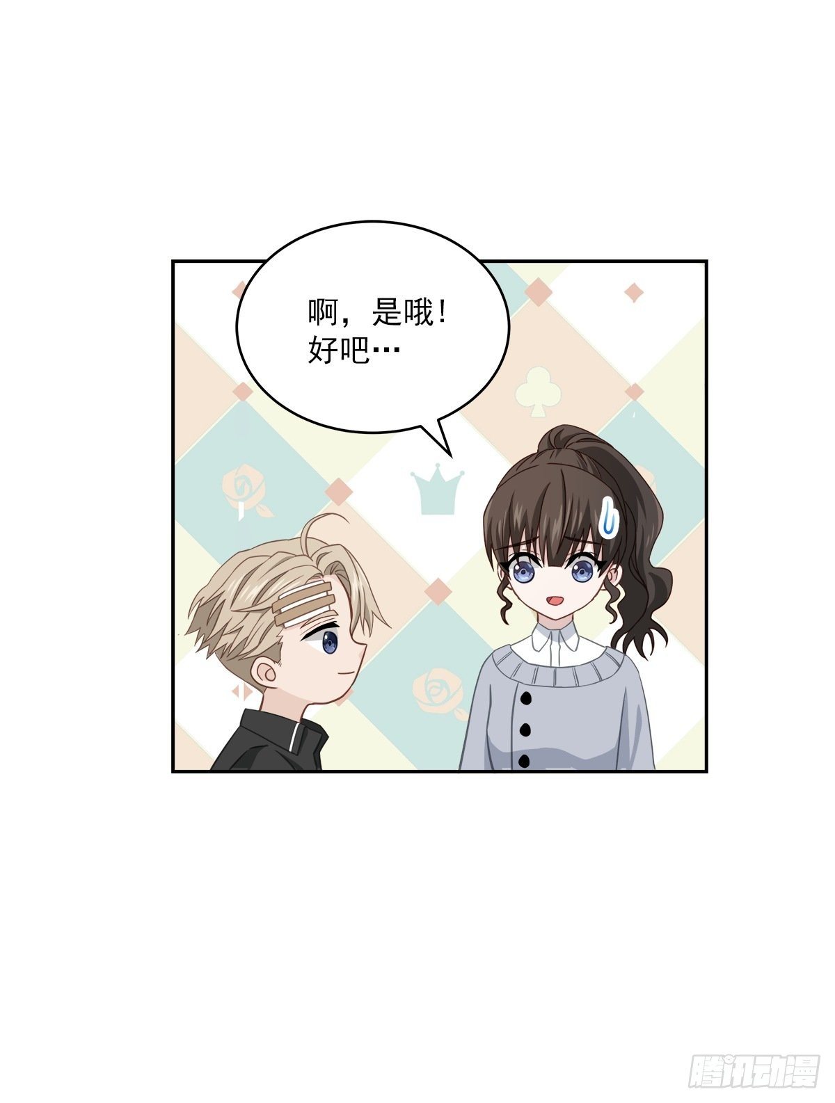 关心31