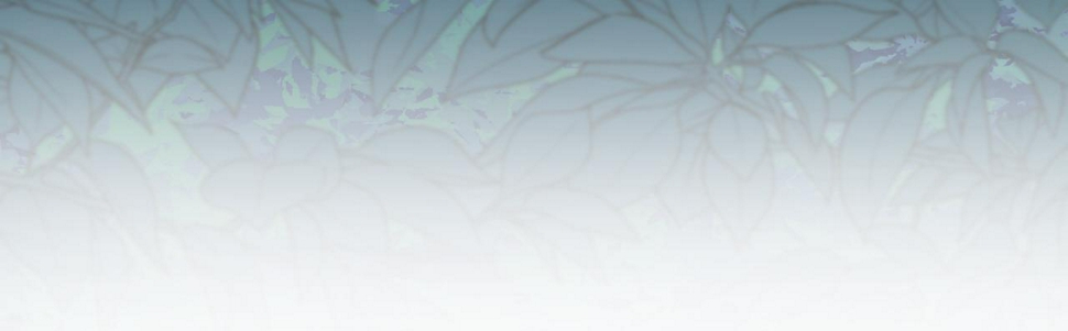 第二话：这位是神仙吗？100