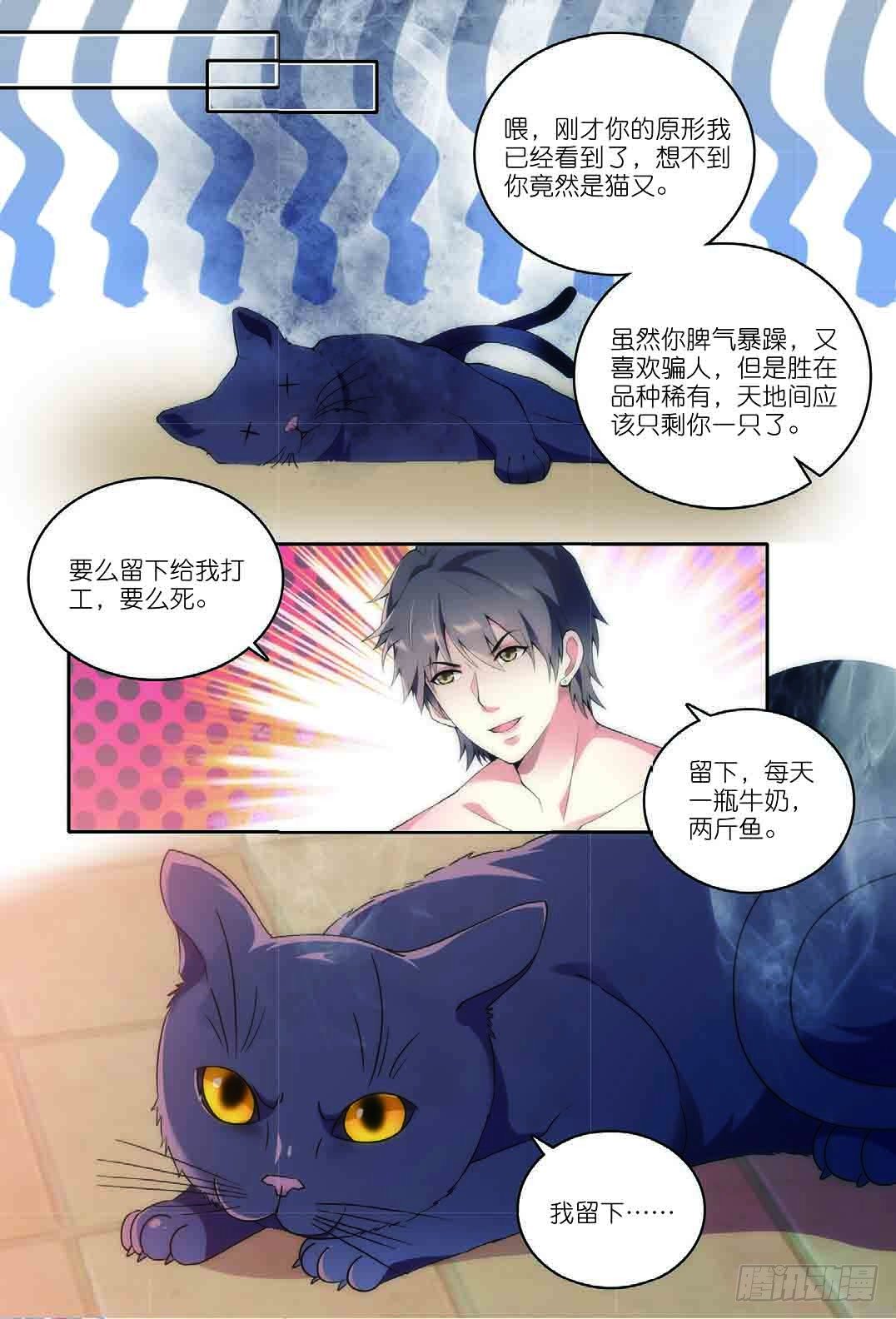 7 擅闯私宅的双尾猫（下）2