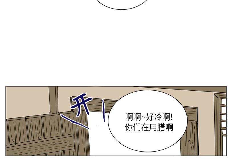 04053
