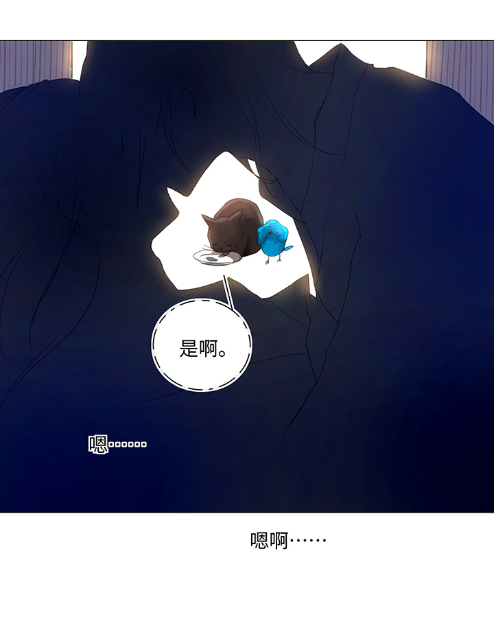 56 黑猫传说.一19