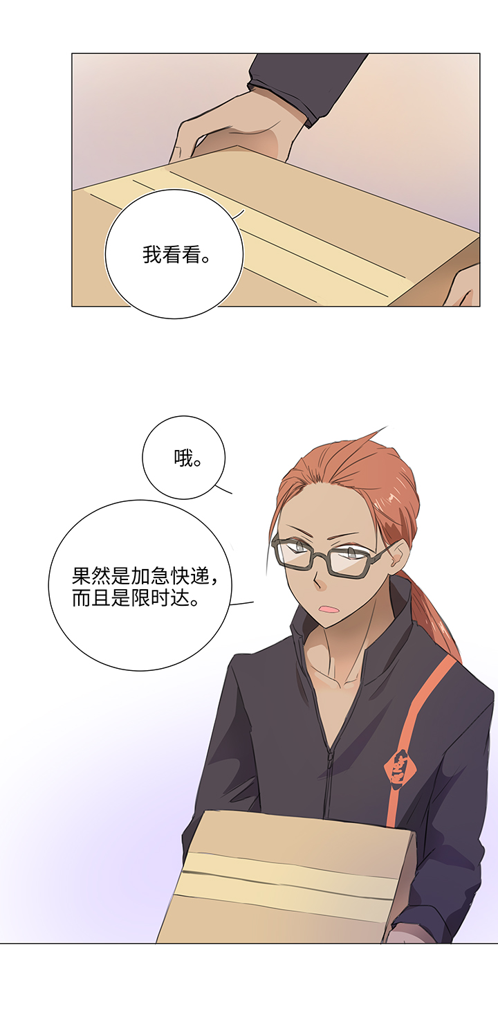 28 是谁？10