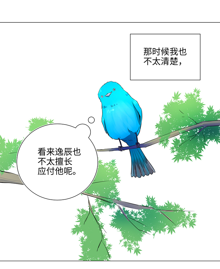 31 过去16