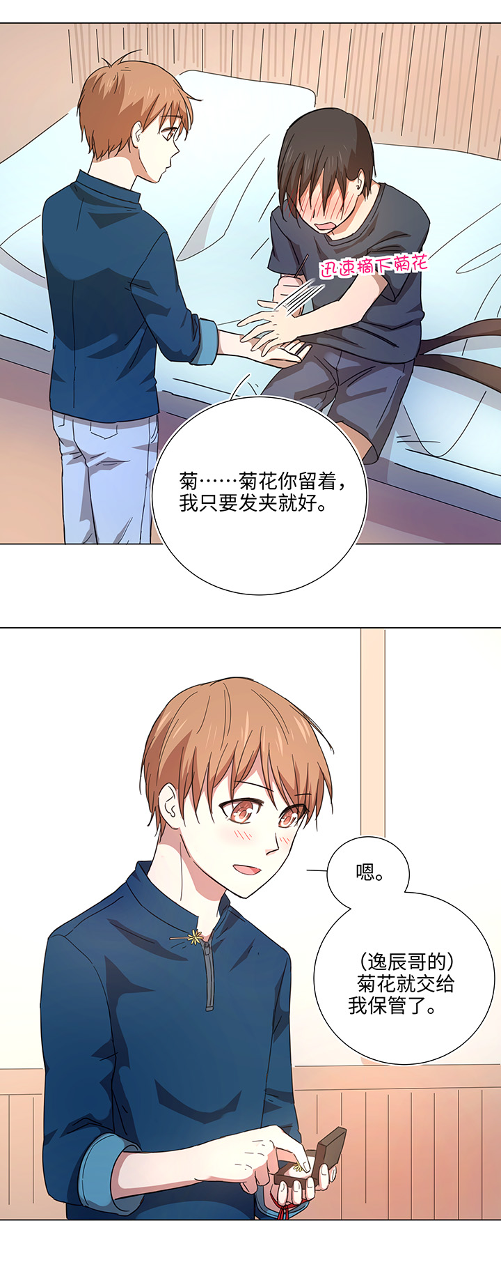46 小菊花6