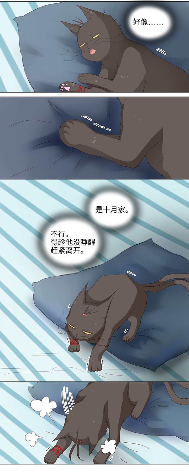 14 喵回来啦~5