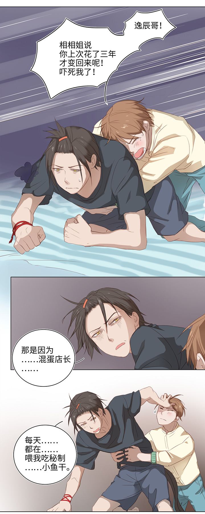 14 喵回来啦~7