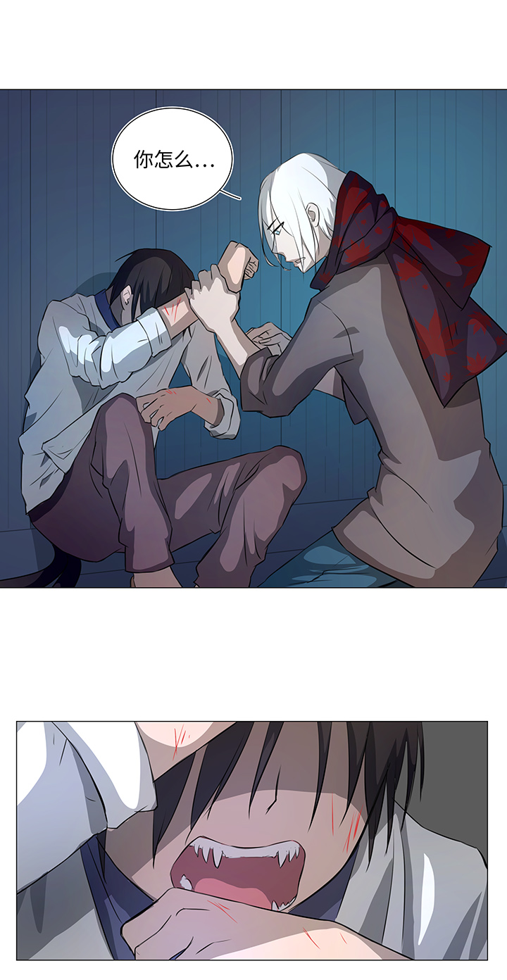 31 过去23