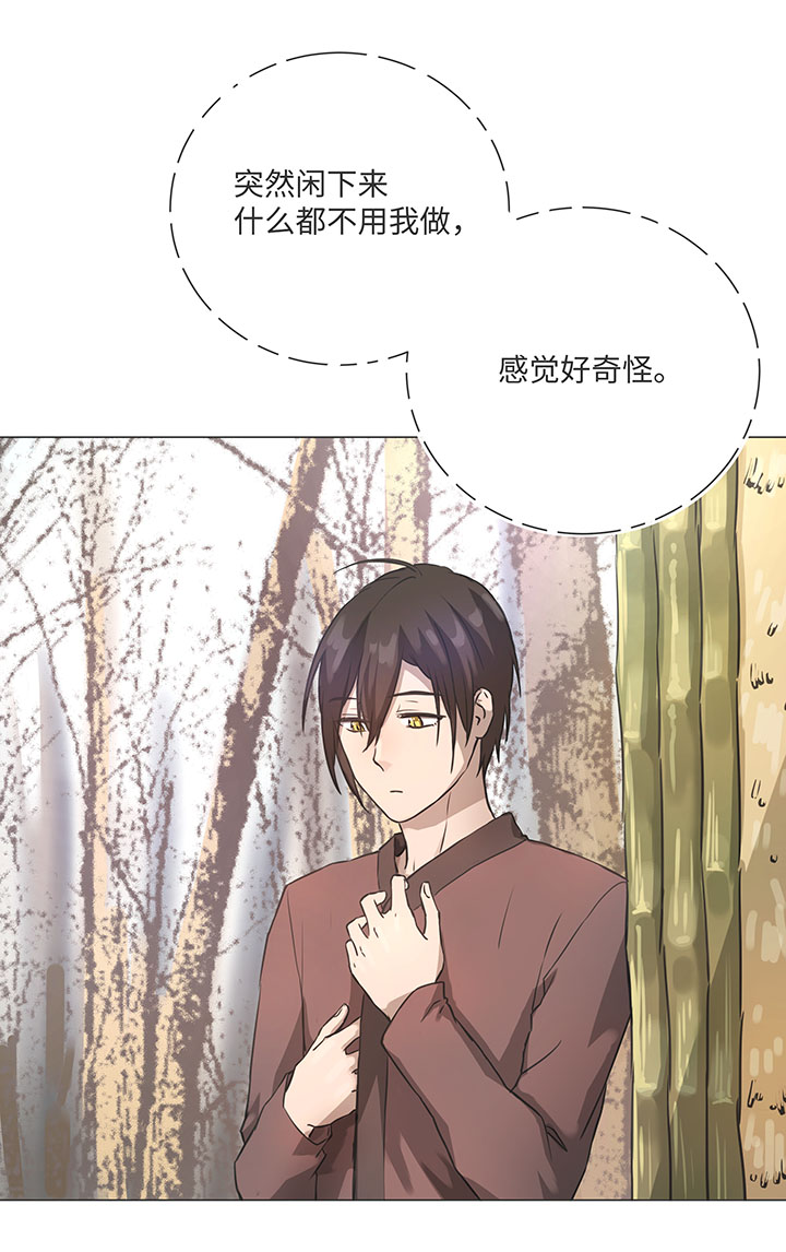 81 晃悠3