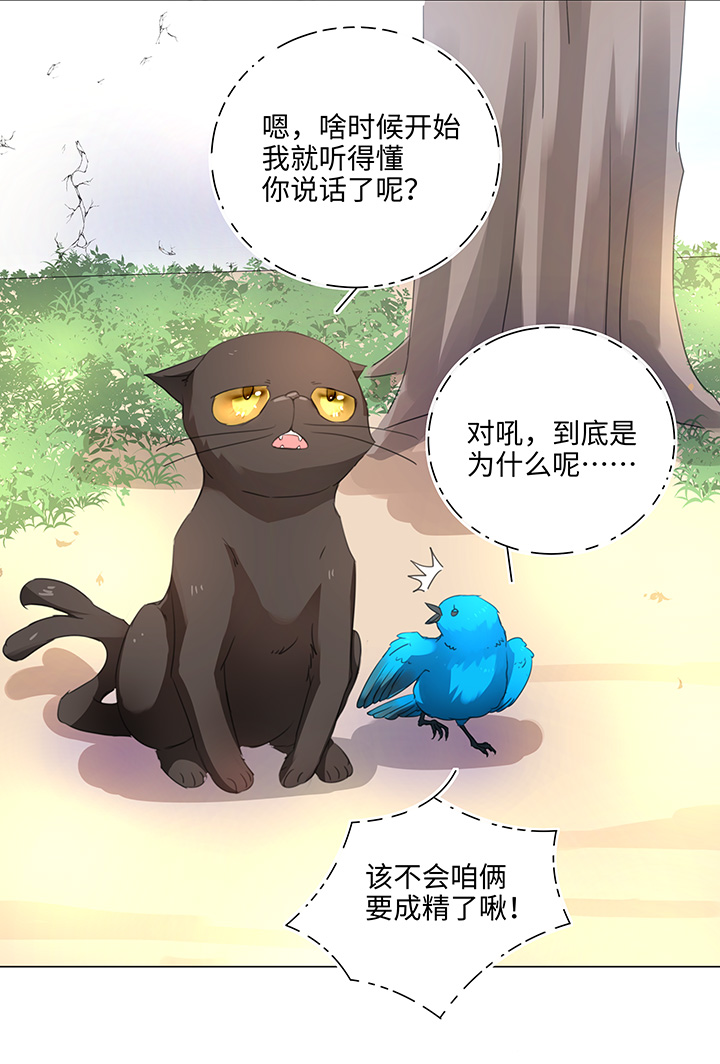 56 黑猫传说.一17