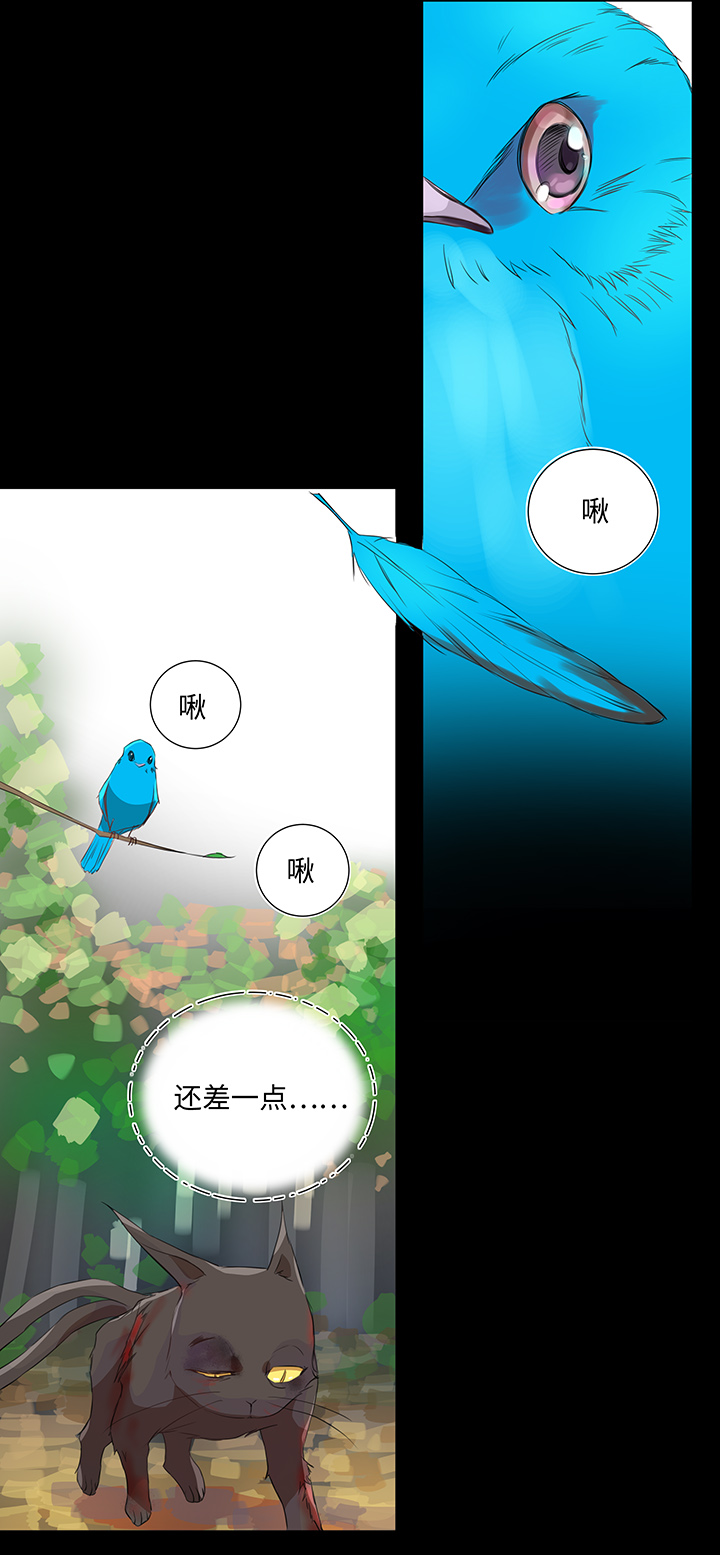 30 回忆15