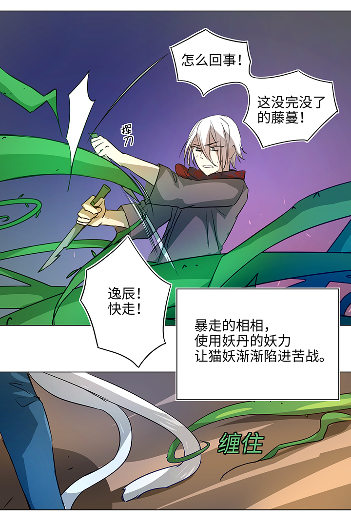41 六十年前22