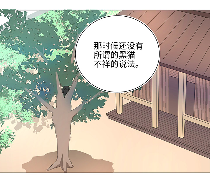 56 黑猫传说.一7