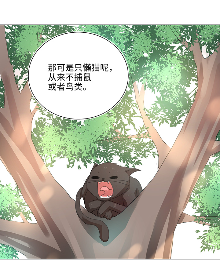 56 黑猫传说.一8