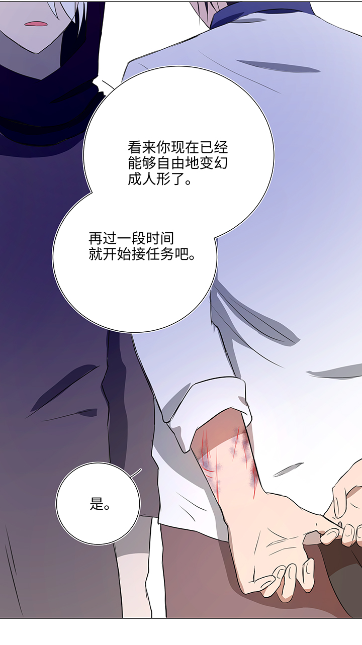 31 过去15