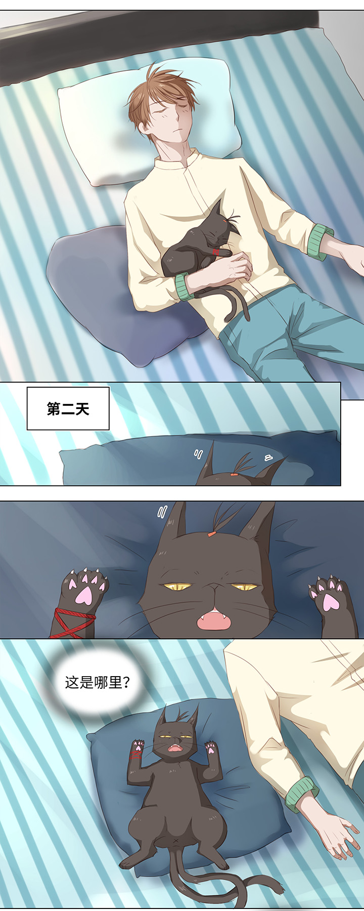 14 喵回来啦~4