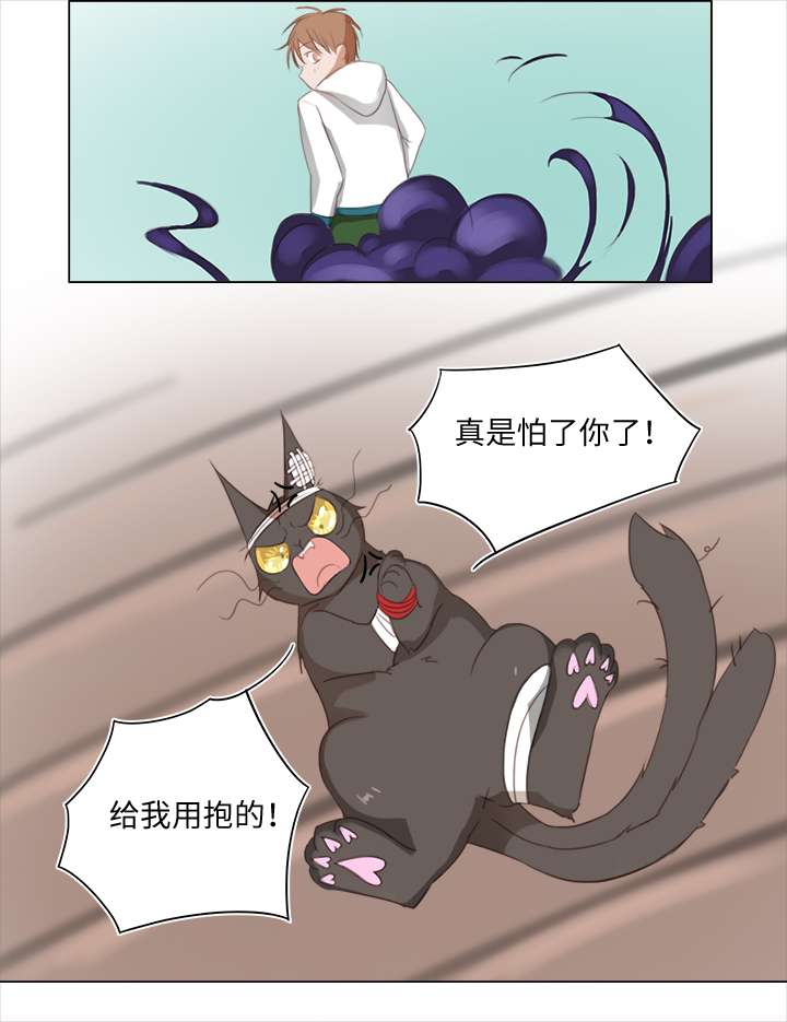 20 奇妙的邀请14