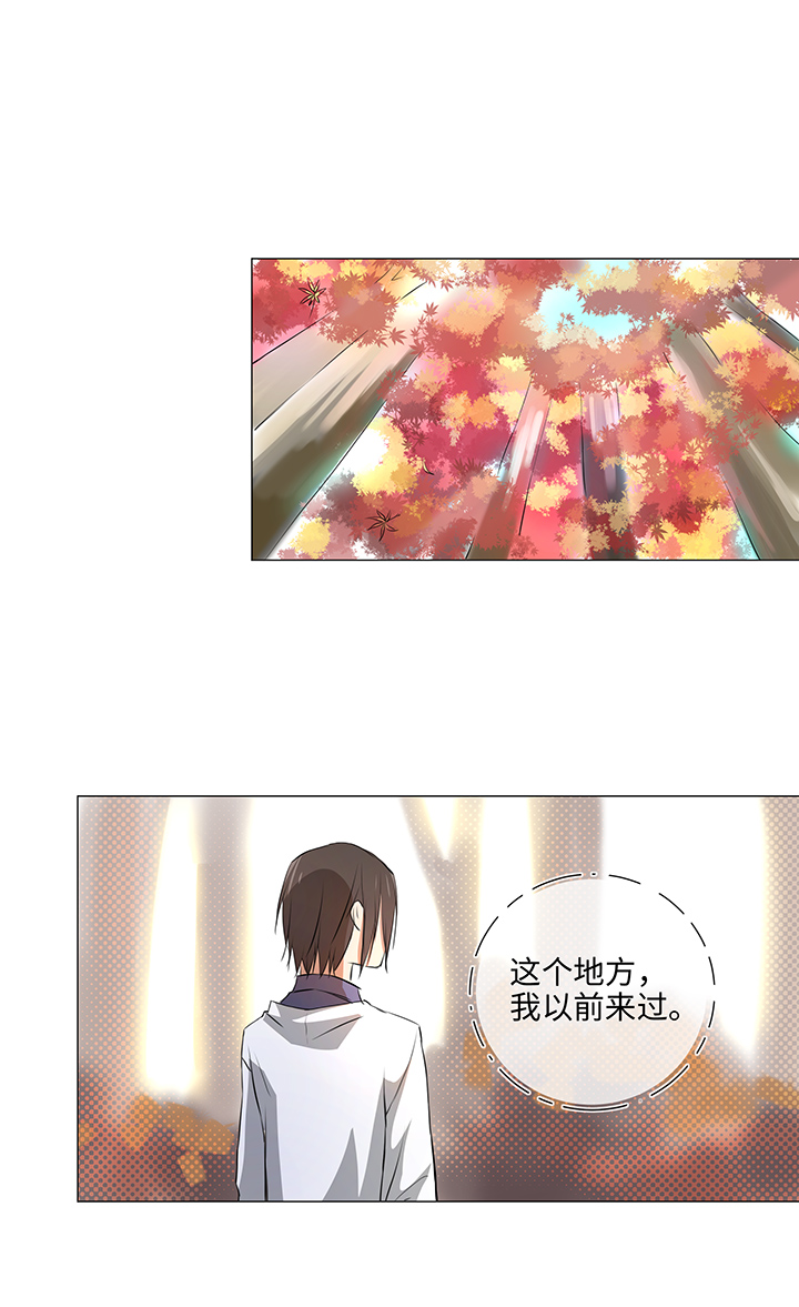 33 幻境之中19