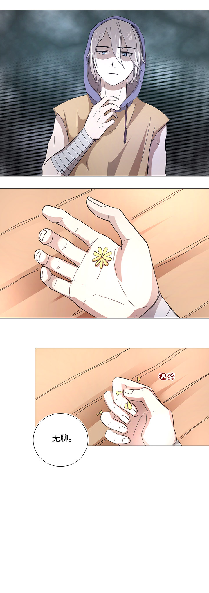 46 小菊花17