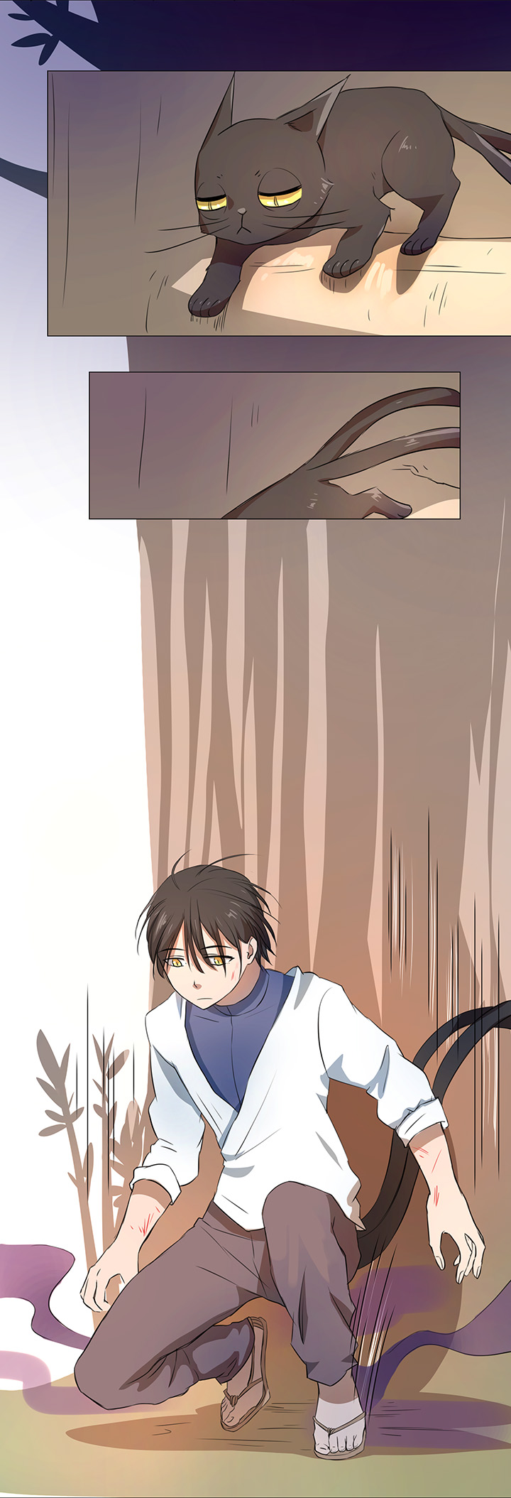 31 过去11