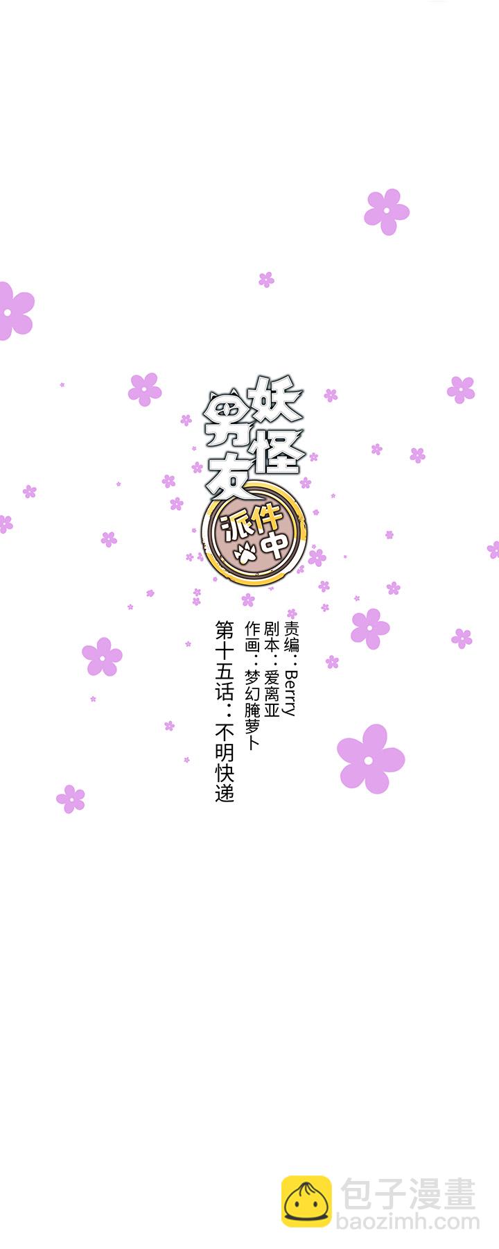 15 不明快递3