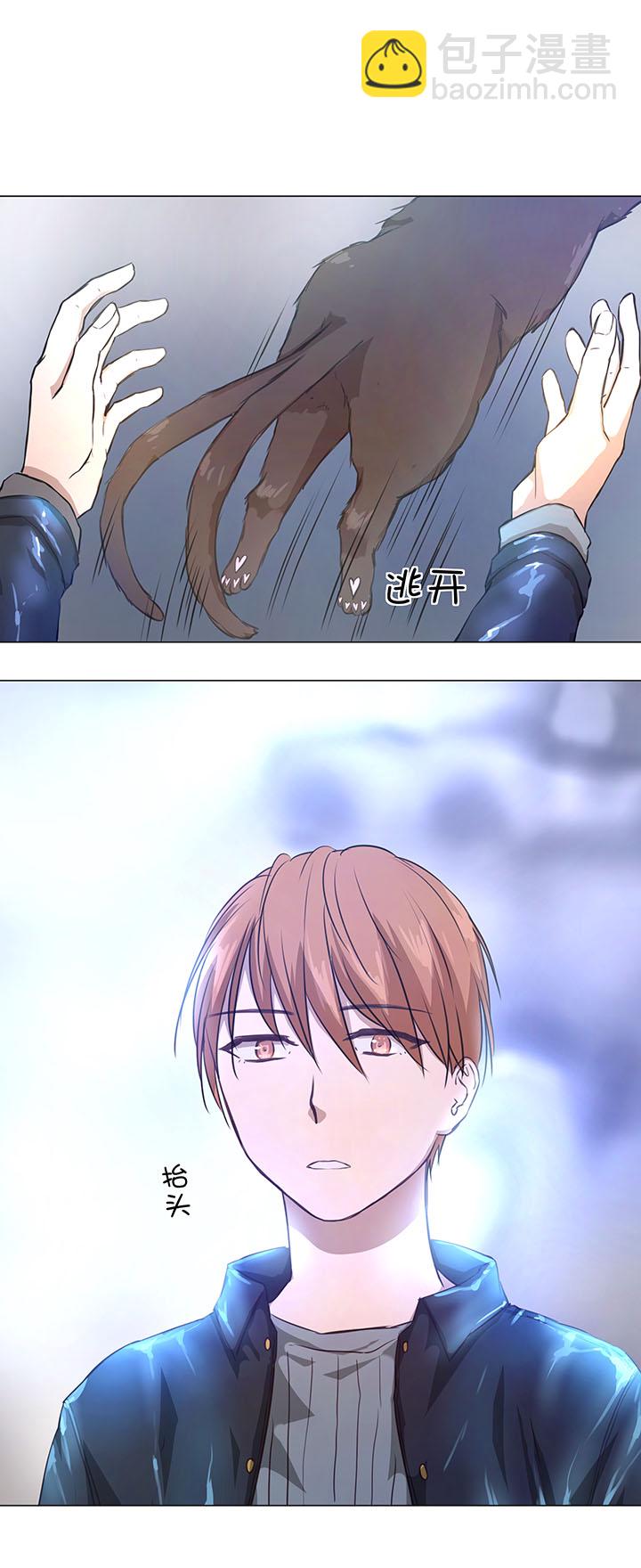 72 一场梦20