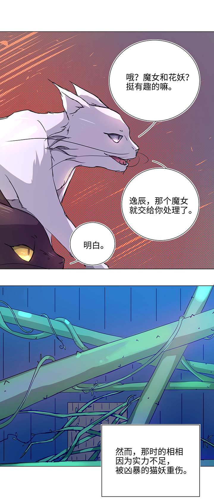 41 六十年前12