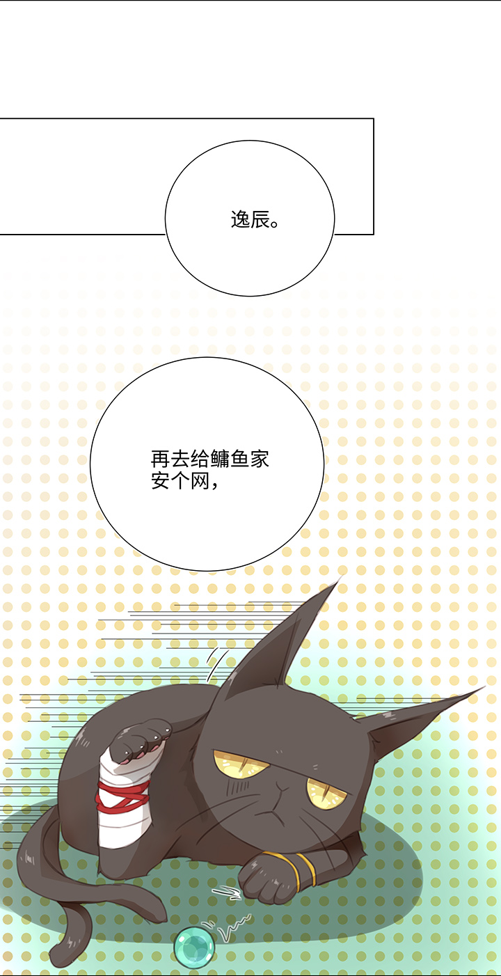 26 加油啦 族长20