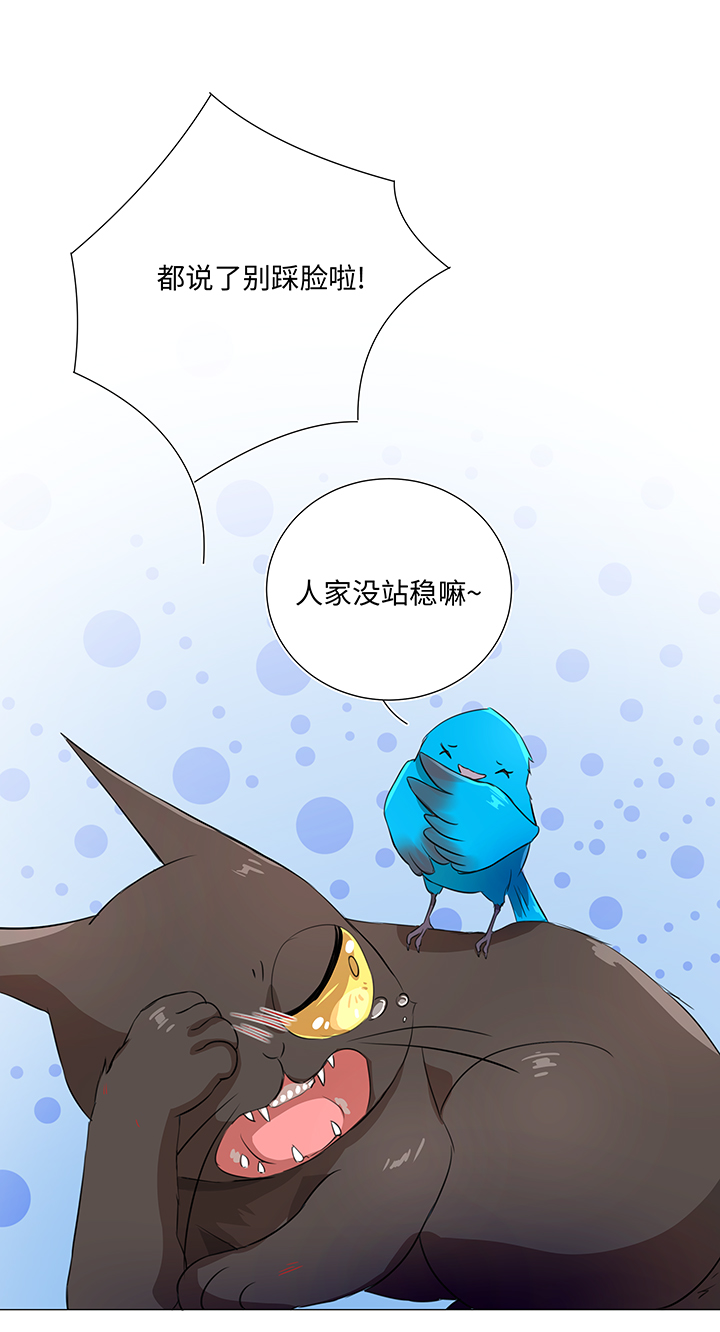31 过去8