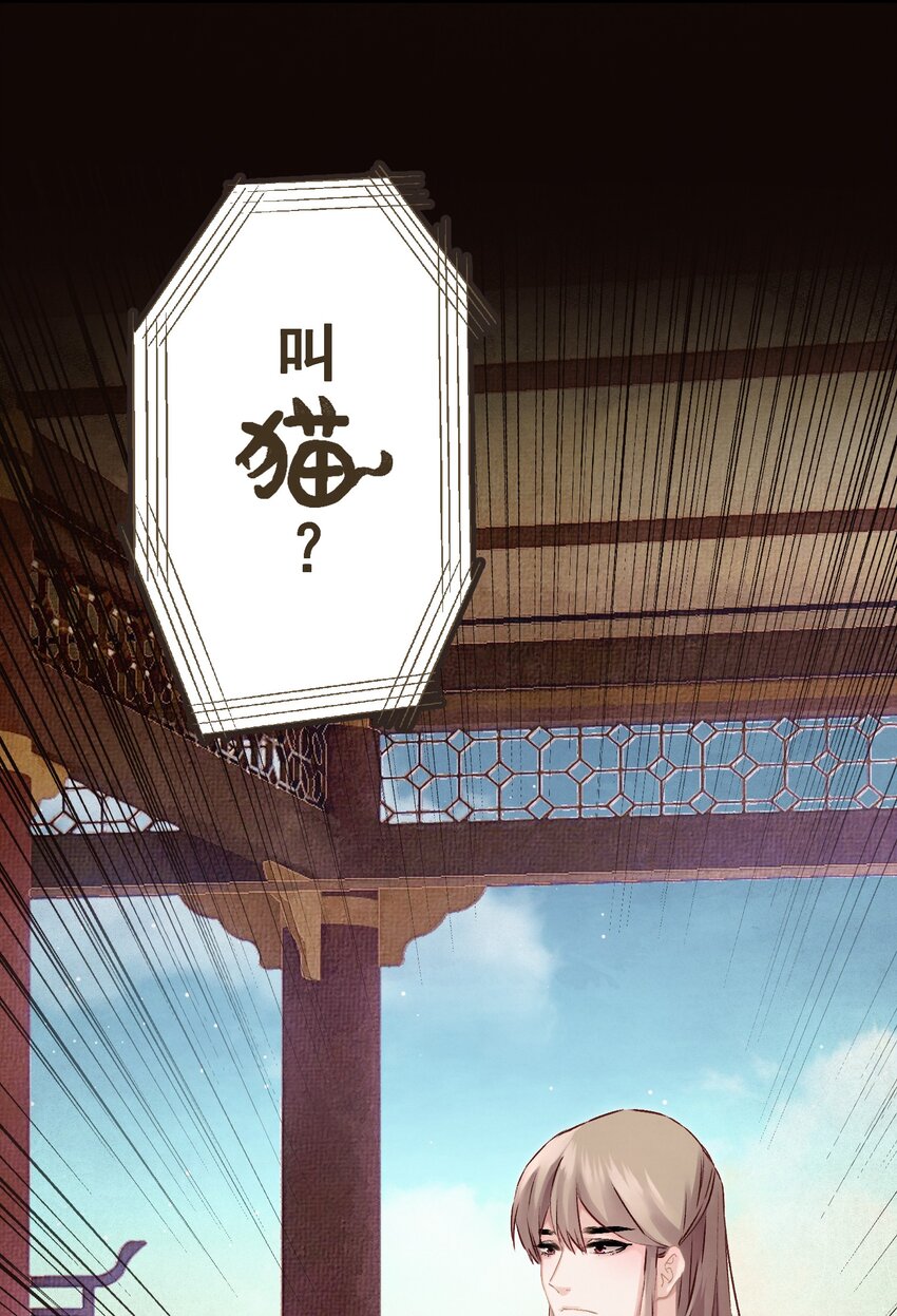 09 这叫猫？？13