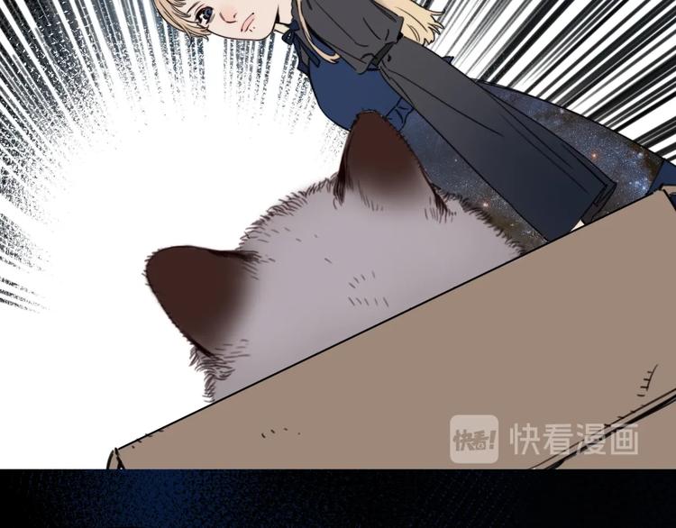 第12话 少女和猫咪24