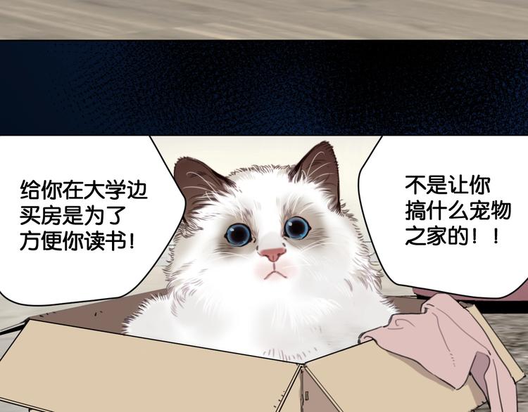 第12话 少女和猫咪22