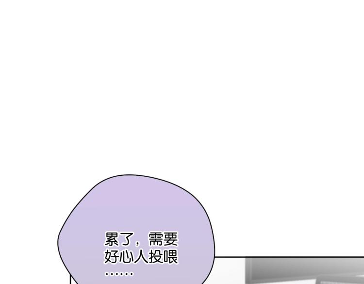第39话 小笨蛋？！21