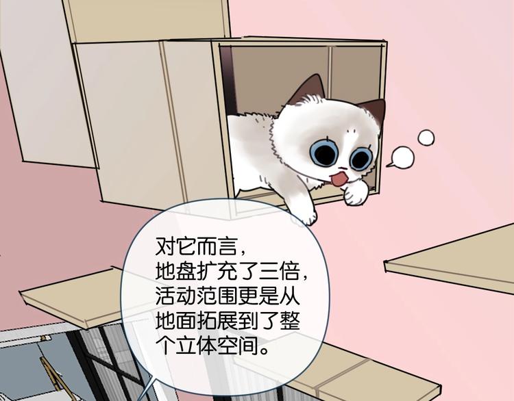 第16话 我想你了46