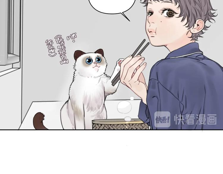 第15话 新一波投喂！36