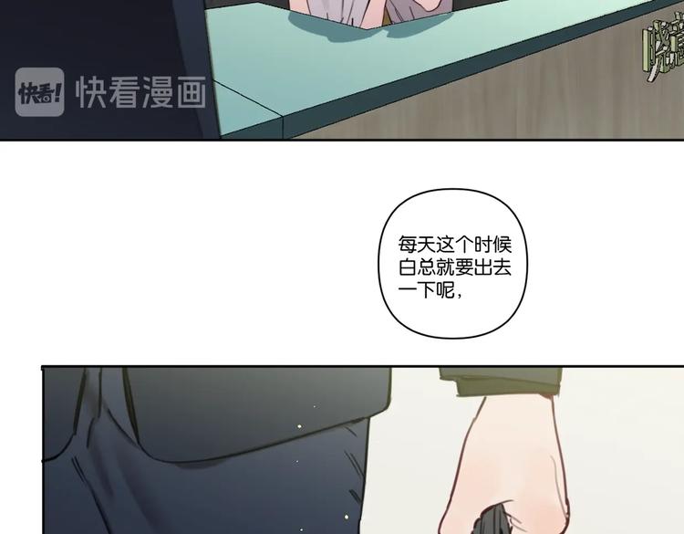 番外剧场二·老白的秘密2