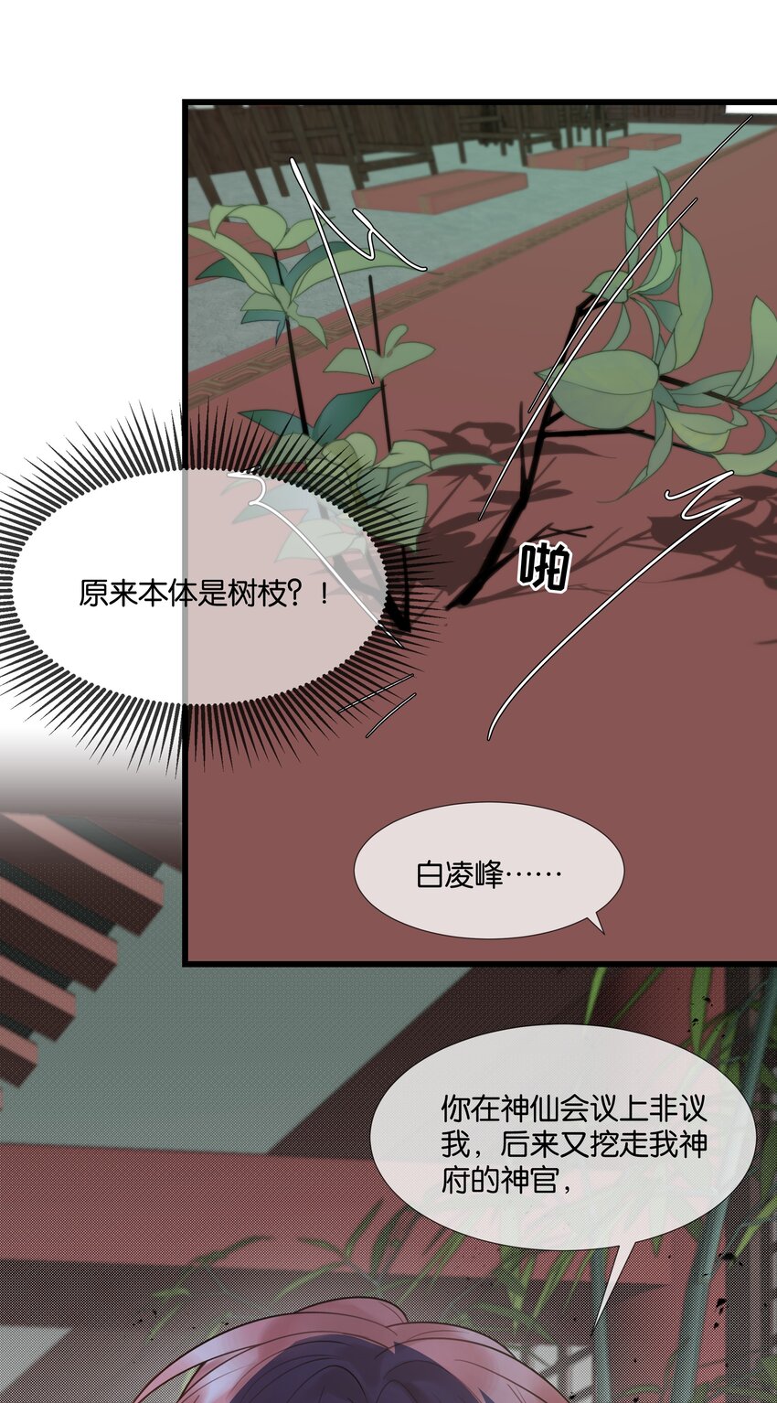 第36话 白老大的家37