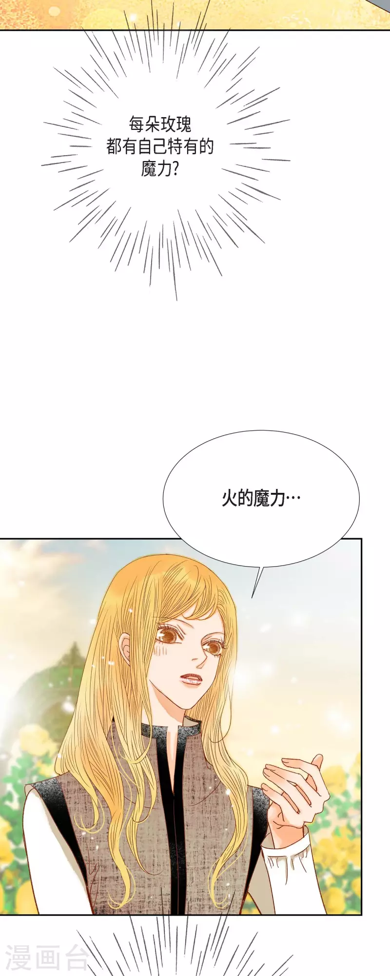 第32话 狮子王的魔法师13