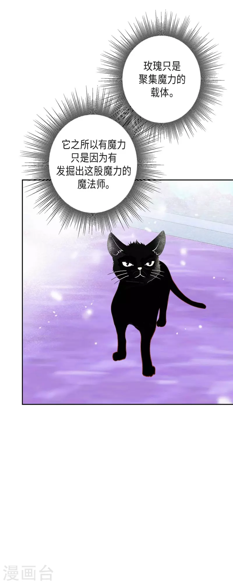 第32话 狮子王的魔法师51