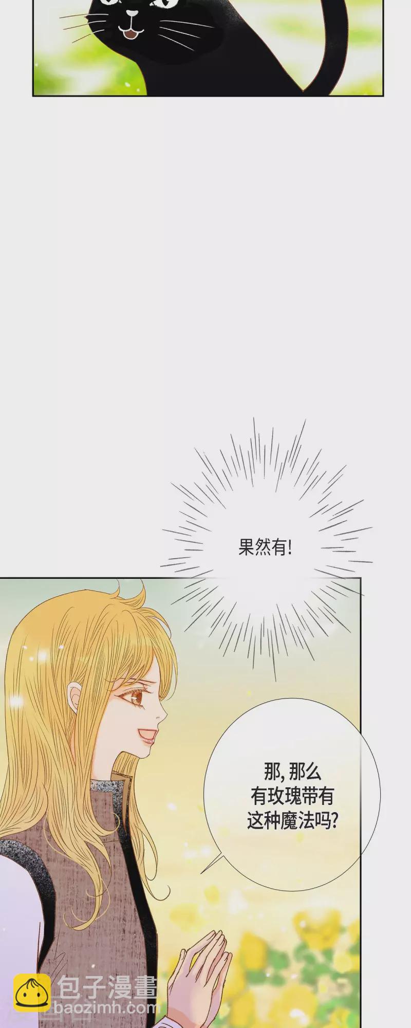 第32话 狮子王的魔法师42