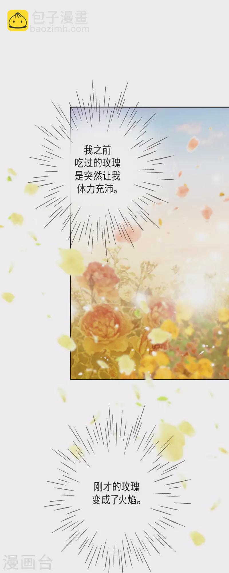 第32话 狮子王的魔法师15