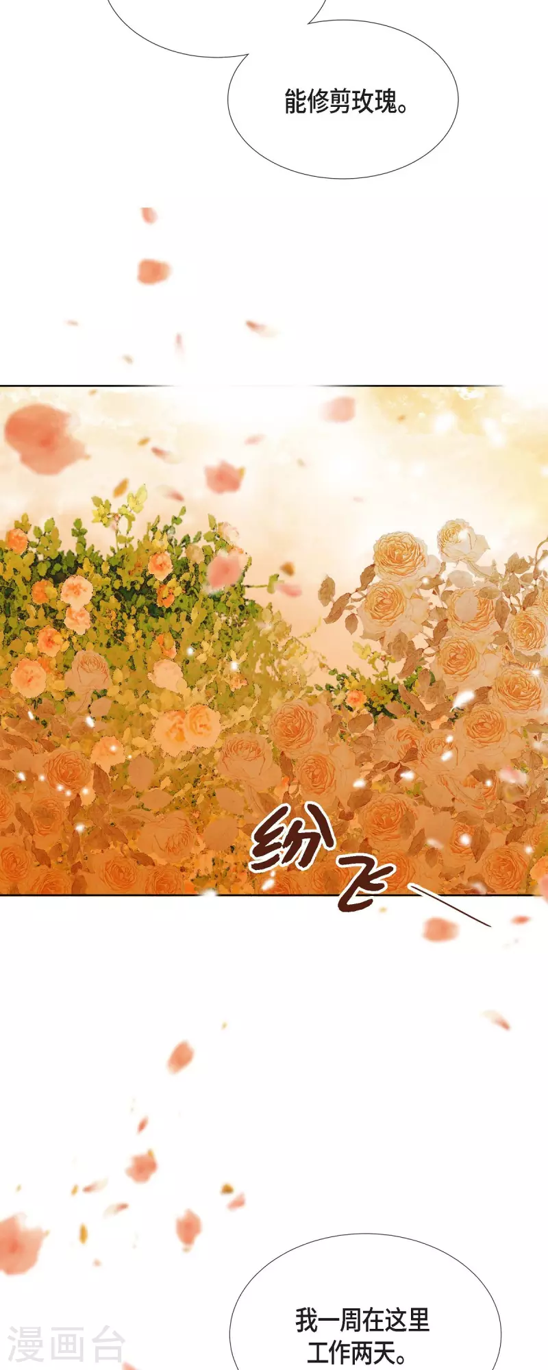 第7话 做个园艺师11