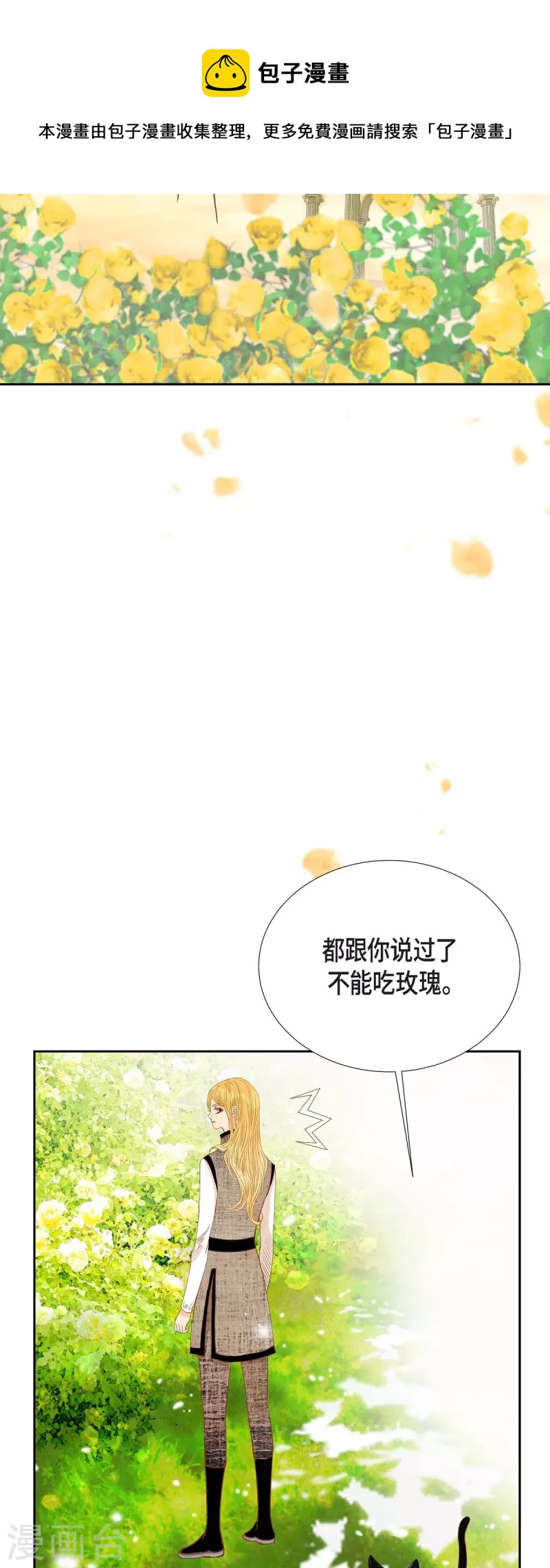 第32话 狮子王的魔法师36