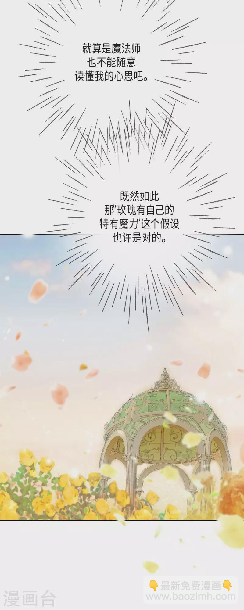 第32话 狮子王的魔法师14