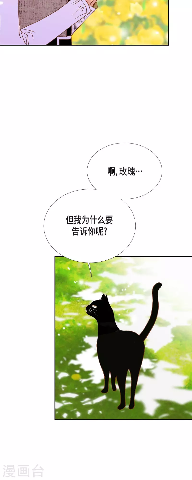 第32话 狮子王的魔法师43