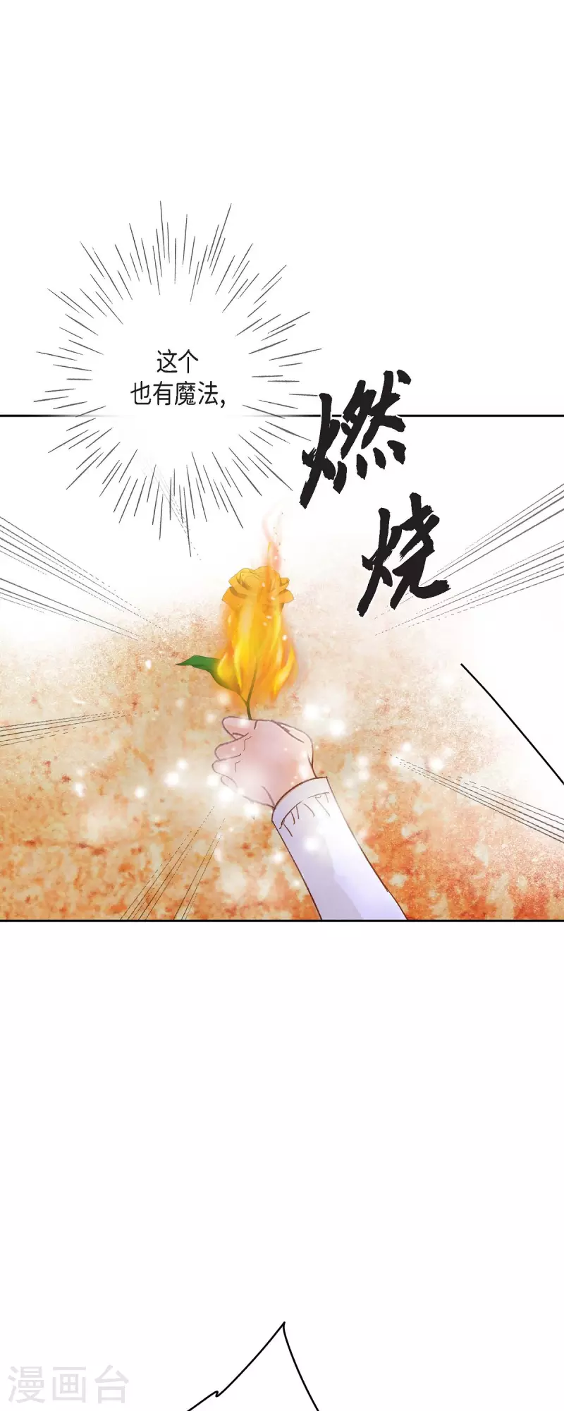 第32话 狮子王的魔法师9